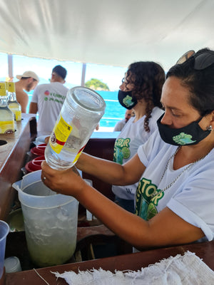 DAY USE + CAIPIRINHA TOUR